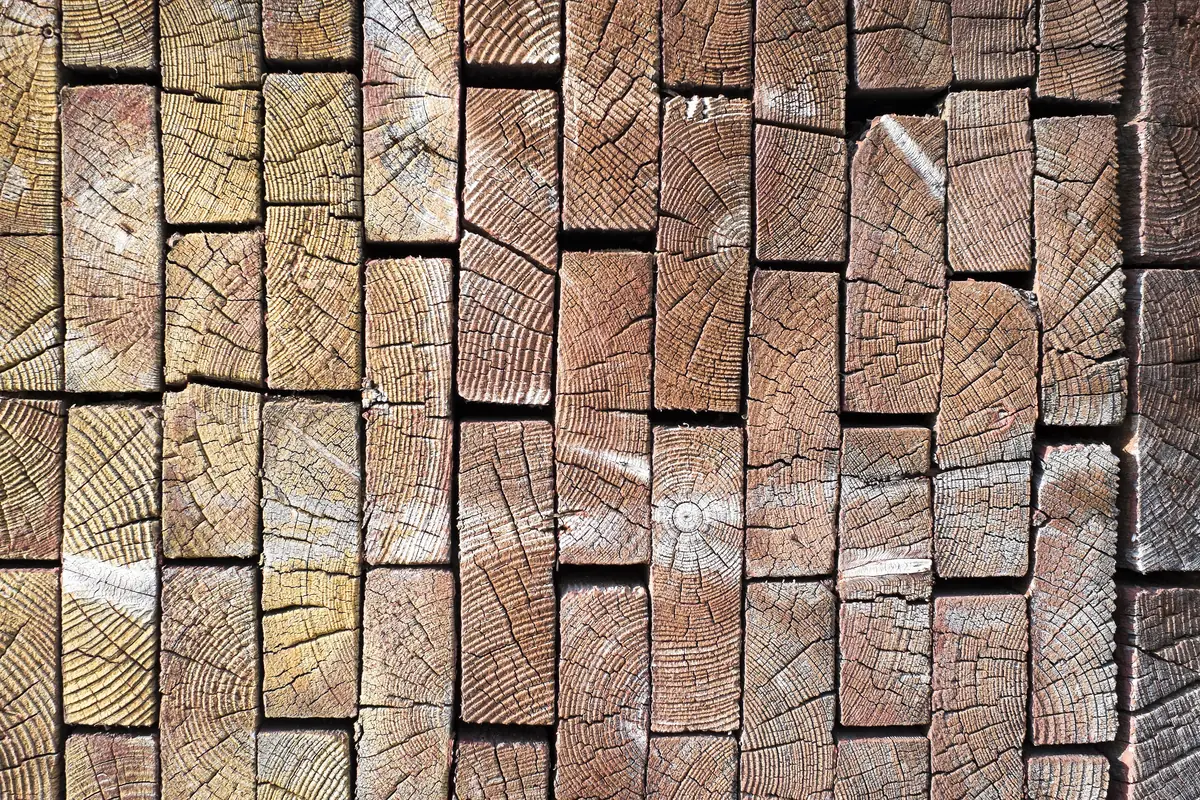 Vos planches de chêne, vues en bout, en cours de stabilisation