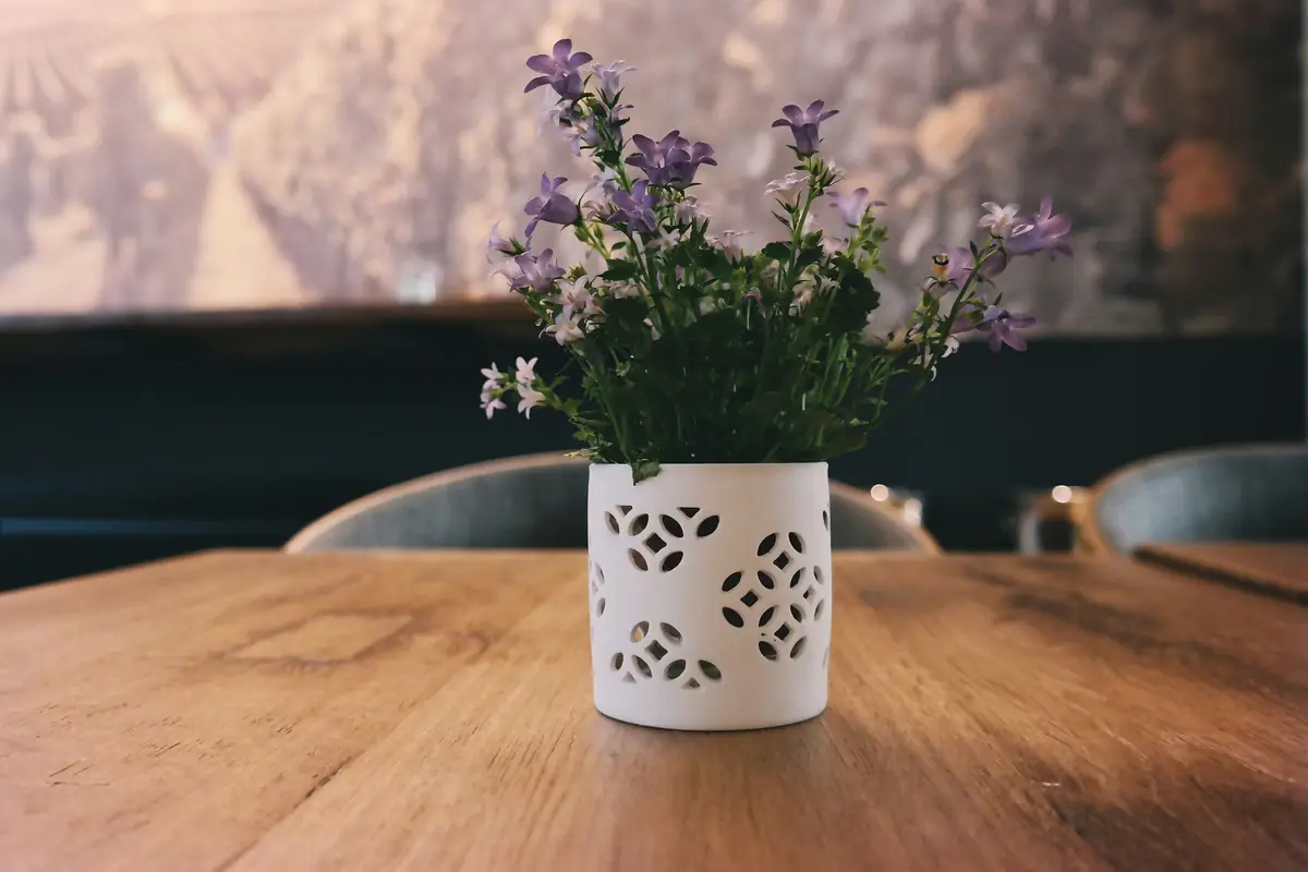 Grain — Table basse en orme