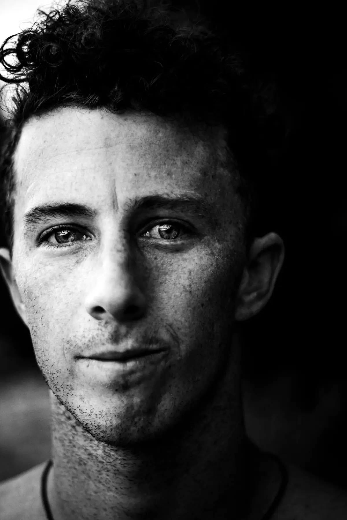 Julien Vermeulen, Collaborateur senior